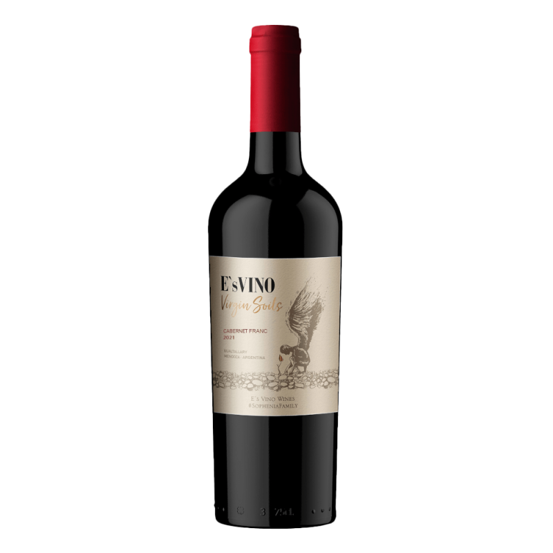 VIRGIN SOILS CAB FRANC VIRGIN SOILS CAB FRANC