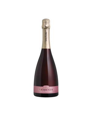 SALTON ÉVIDENCE CUVÉE BRUT ROSADO